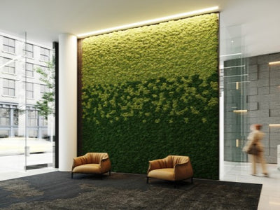 Cork Moss Panels: Functional Soundproofing and Fashionable Decor
