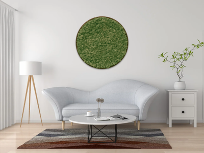 Live And Preserved Moss Wall Art Frames: What Are They?