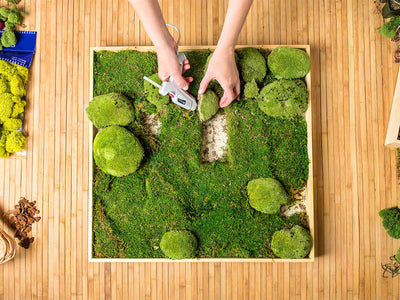 Create Your Own Colorful Preserved Moss Wall Art At Home