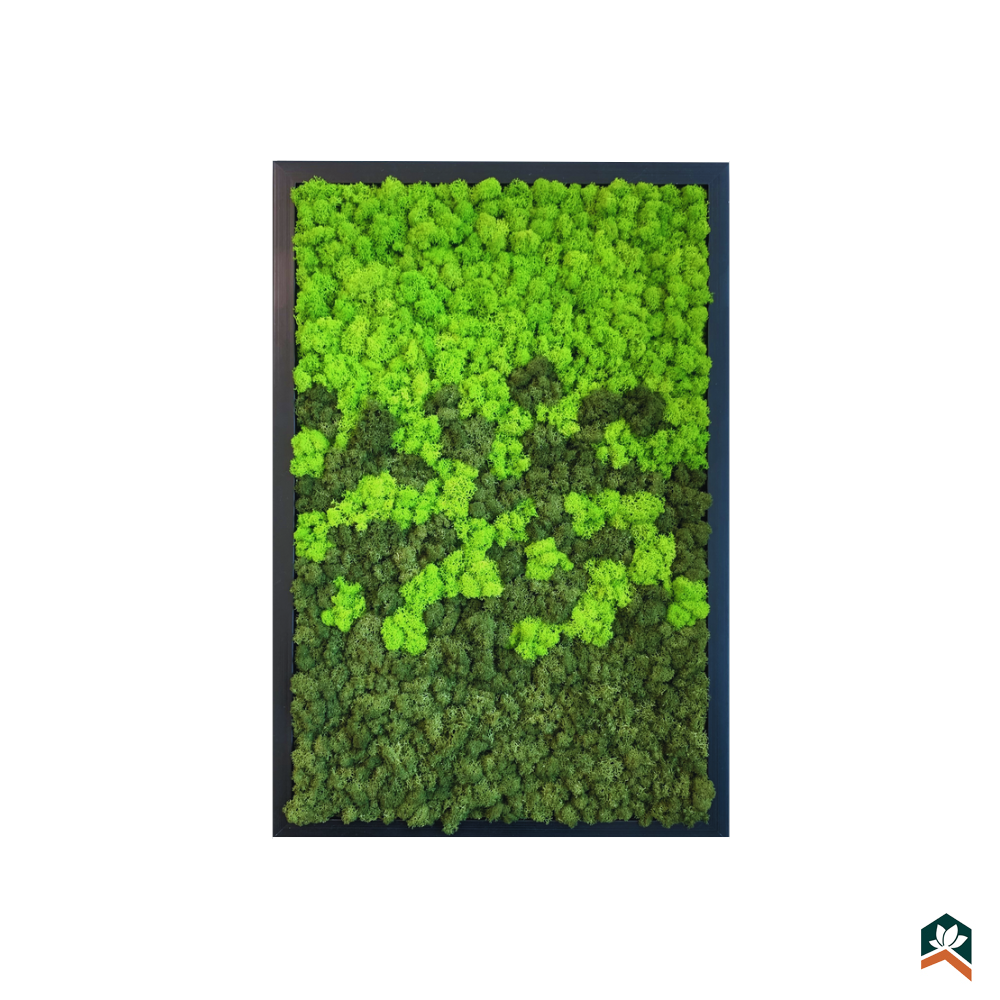 Gaia Moss Frame 60x40cm