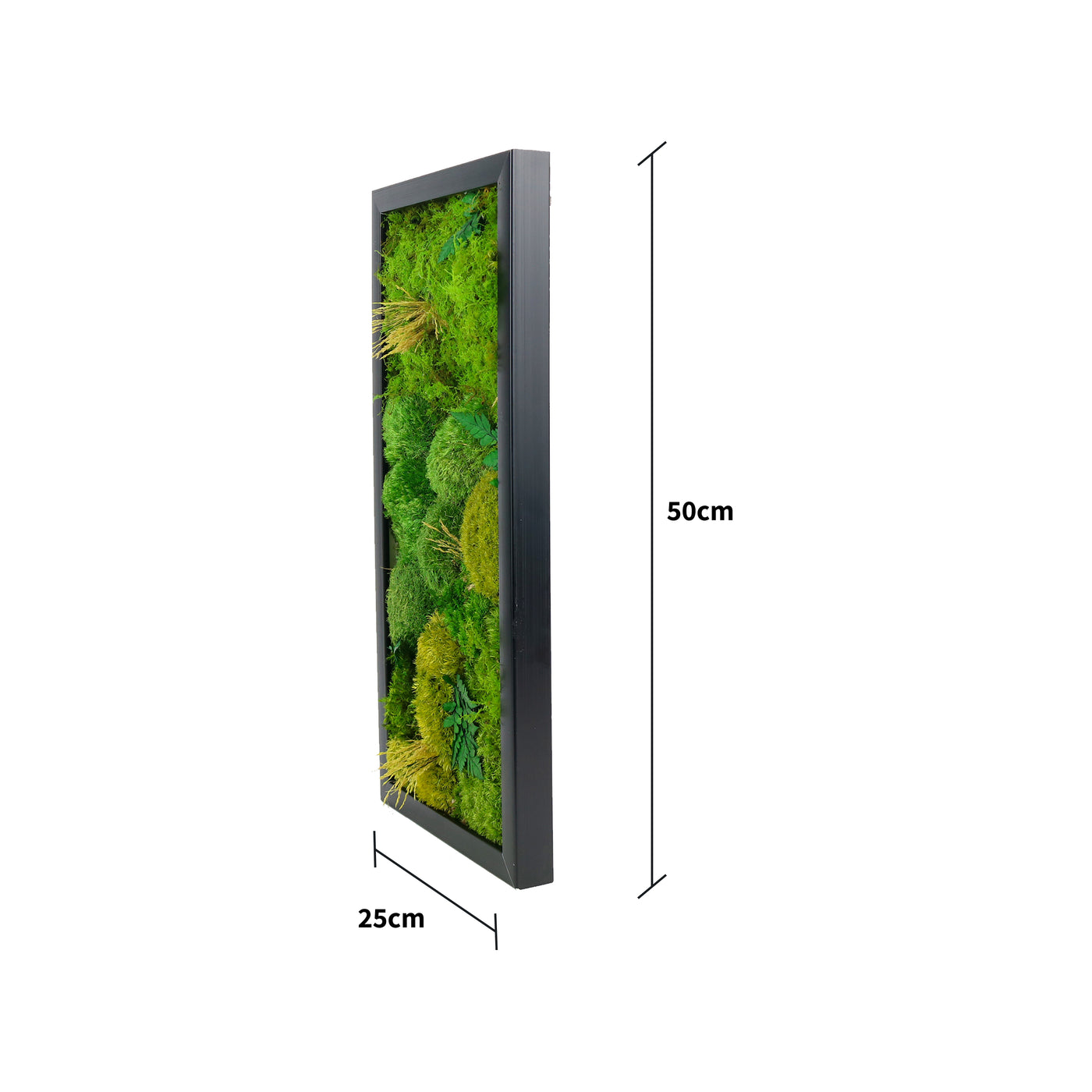 Briar Moss Frame 25x50cm