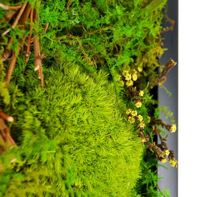 Mossaro, home décor, wall art, framed art, modern home décor, modern wall décor, framed wall art, wall art décor, home wall design, living room wall design, wall art design, wall decor for living room, room wall design, moss wall art, moss wall, preserved moss, unique wall art, plant art, moss art, preserved moss wall art, moss frames