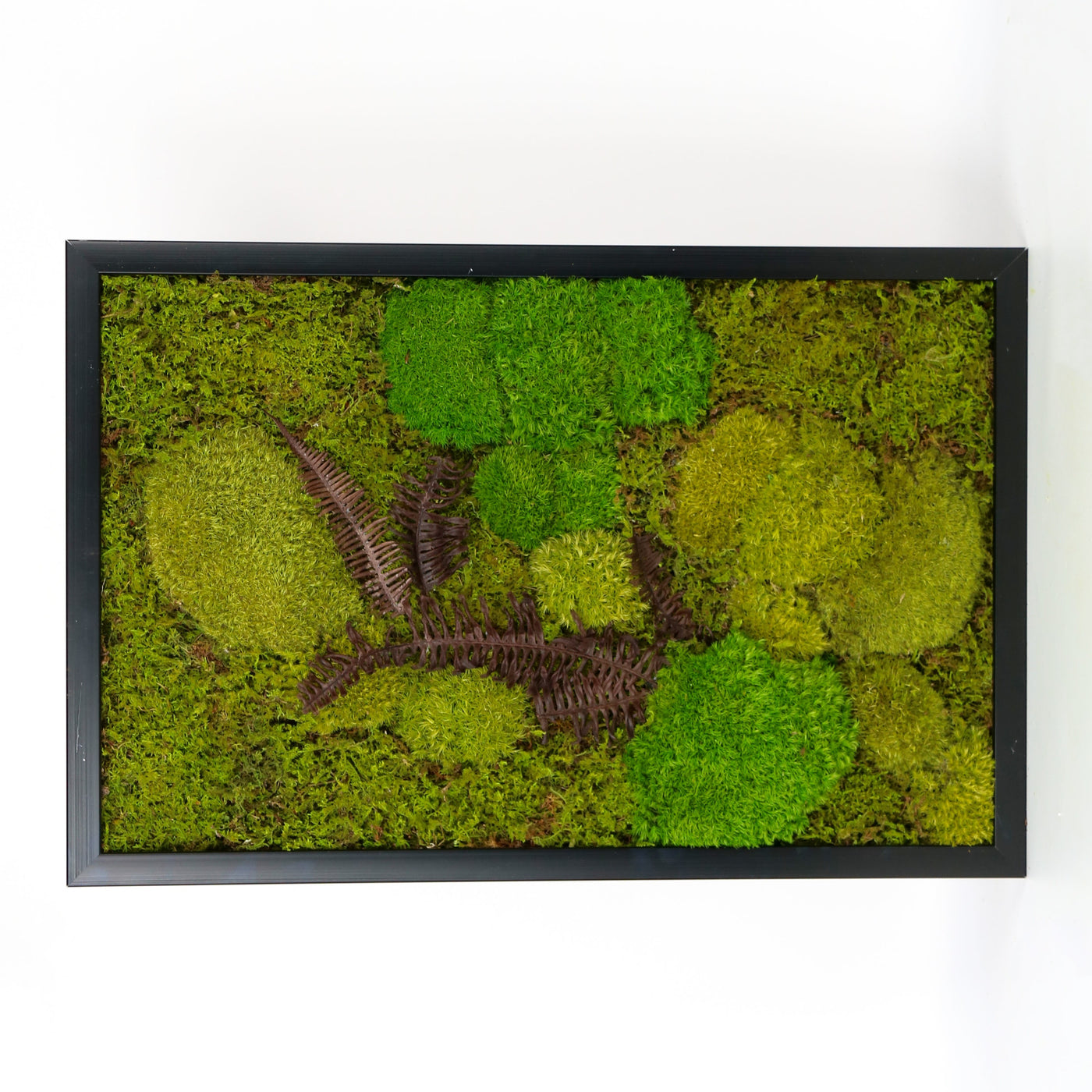 Mossaro, home décor, wall art, framed art, modern home décor, modern wall décor, framed wall art, wall art décor, home wall design, living room wall design, wall art design, wall decor for living room, room wall design, moss wall art, moss wall, preserved moss, unique wall art, plant art, moss art, preserved moss wall art, moss frames