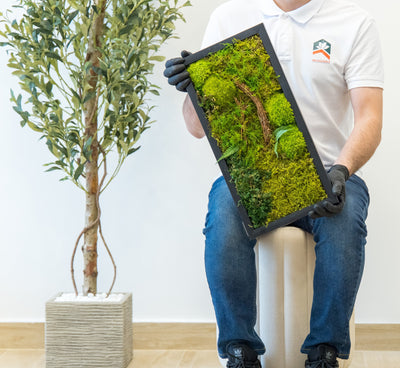 Willow Garden Moss Frame 25x50cm